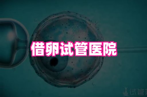 123试管孕网 4